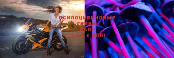 дмт Аркадак