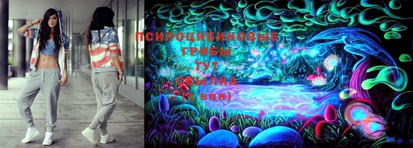 PSILOCYBIN Балабаново