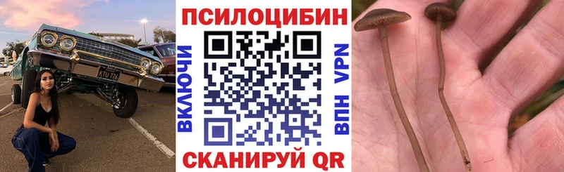 даркнет сайт  Урай  МЕГА ссылки  Псилоцибиновые грибы Psilocybe 